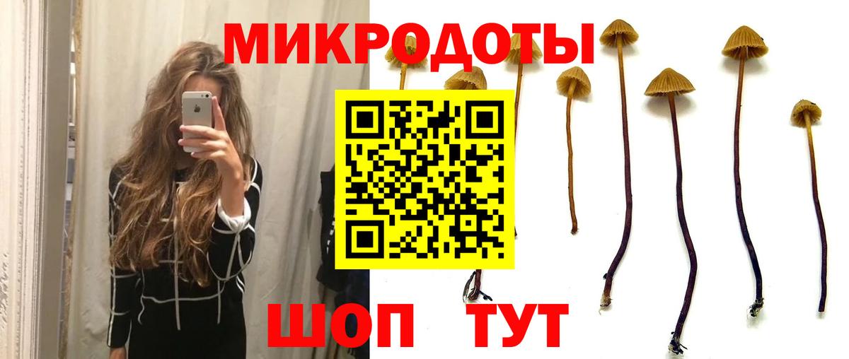 Псилоцибиновые грибы ЛСД Волжский